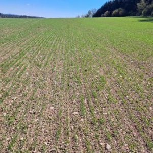 foto 6-9ha/h secí stroj 48+24 botek Farmet Falcon6 agro přívěs za traktor