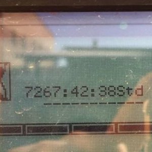 foto PROBLÉM 46t drtič bio 2v1 mobil návěs Doppstadt DZ750 dřevo